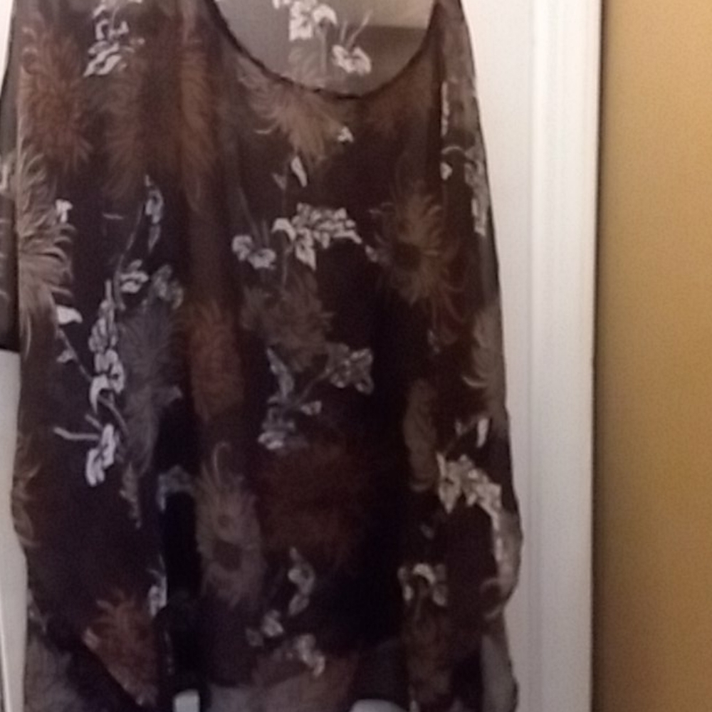 Sheer dressy shirt
